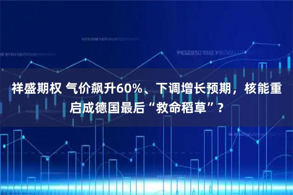 祥盛期权 气价飙升60%、下调增长预期,核能重启成德国最后“救命稻草”?